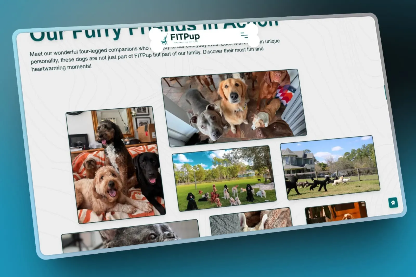Personalized Pet Care Services